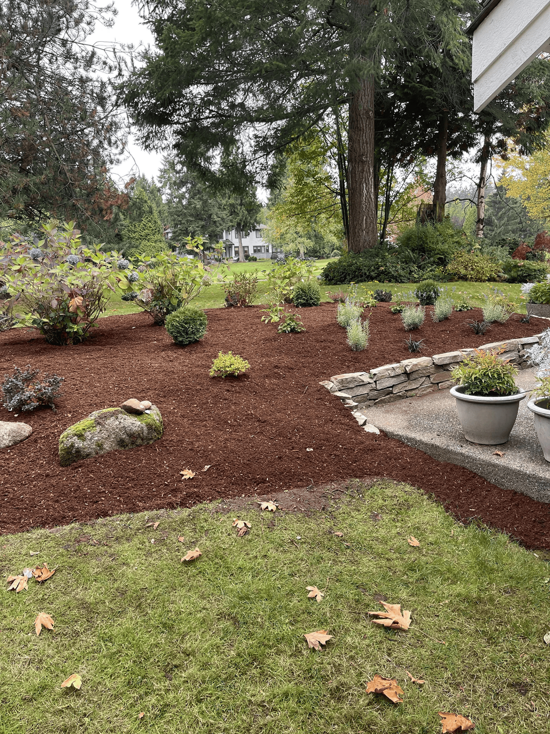 bark mulch