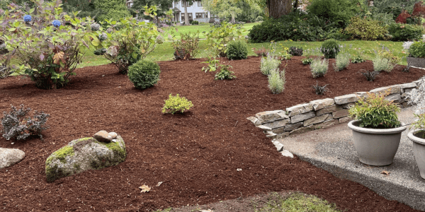 bark mulch