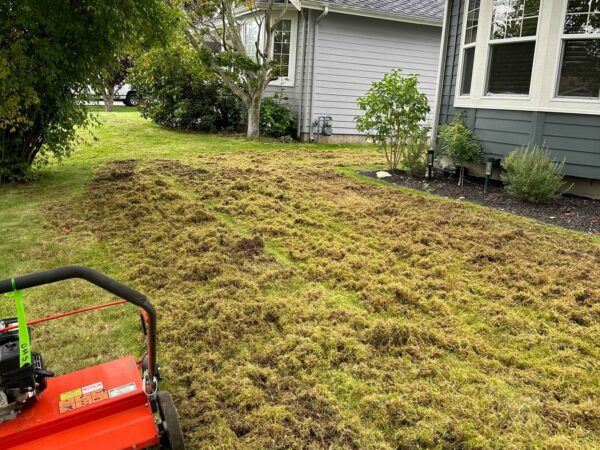 before mowing the lawn