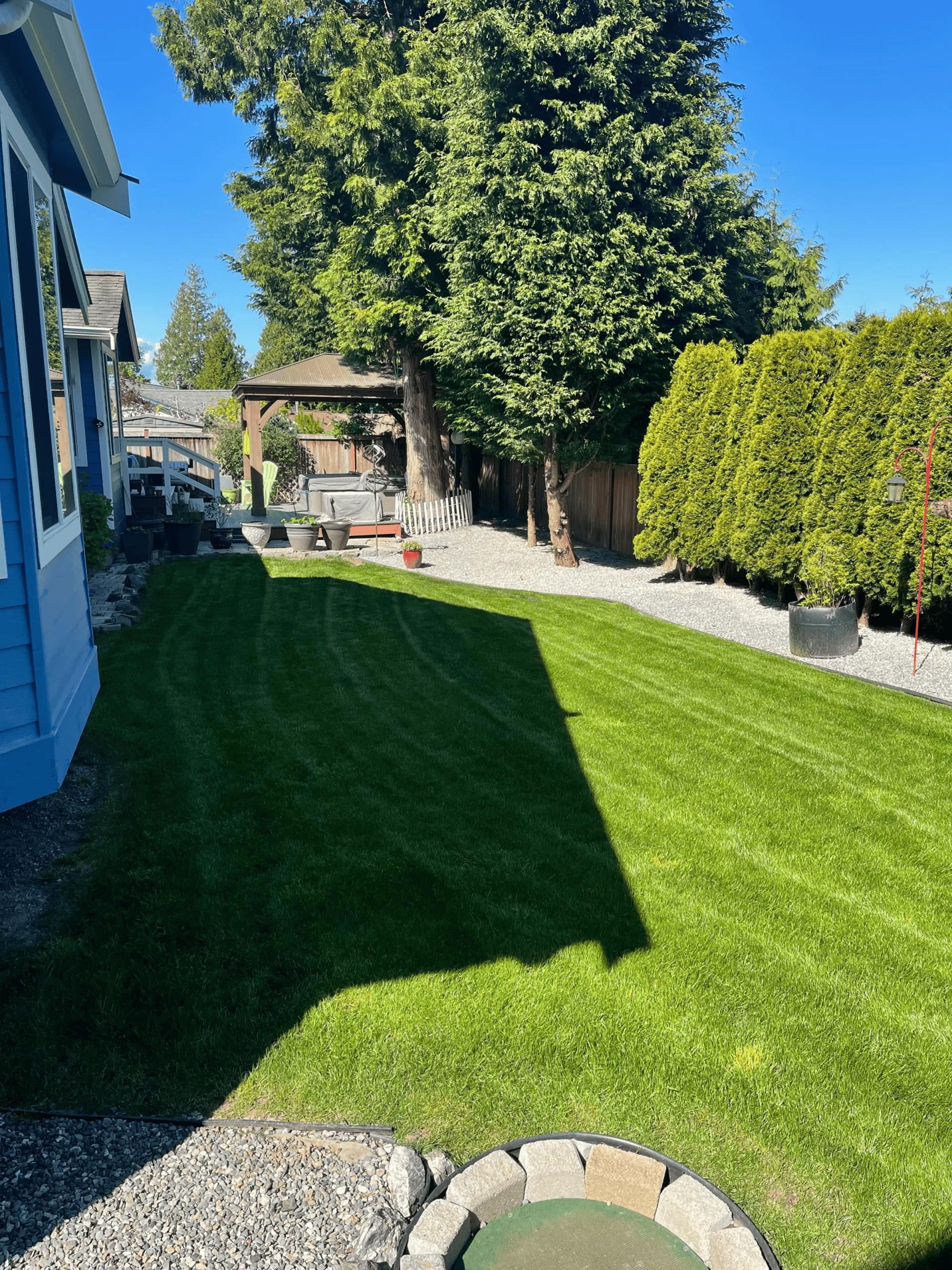 clean lawn