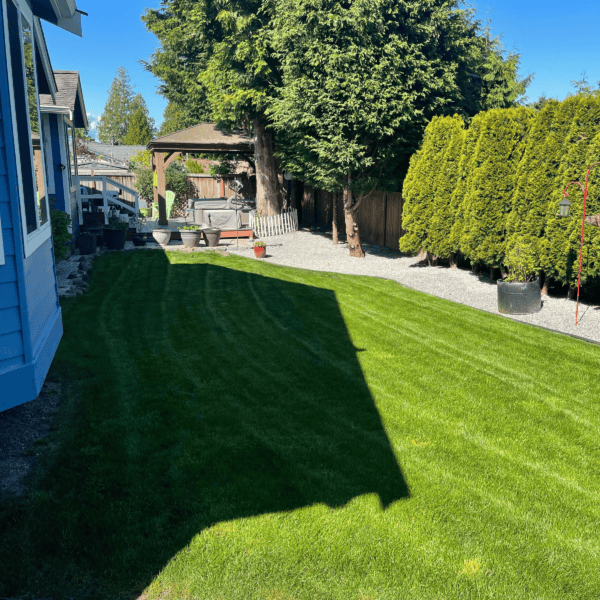 clean lawn