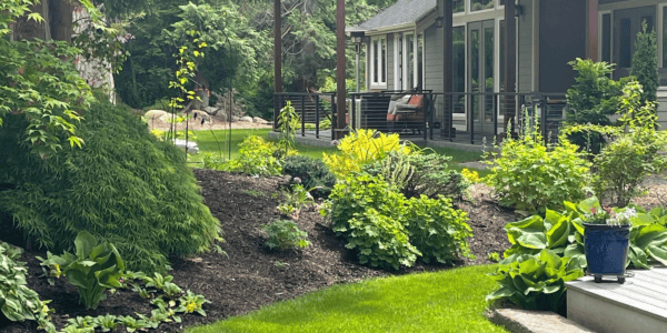front yard