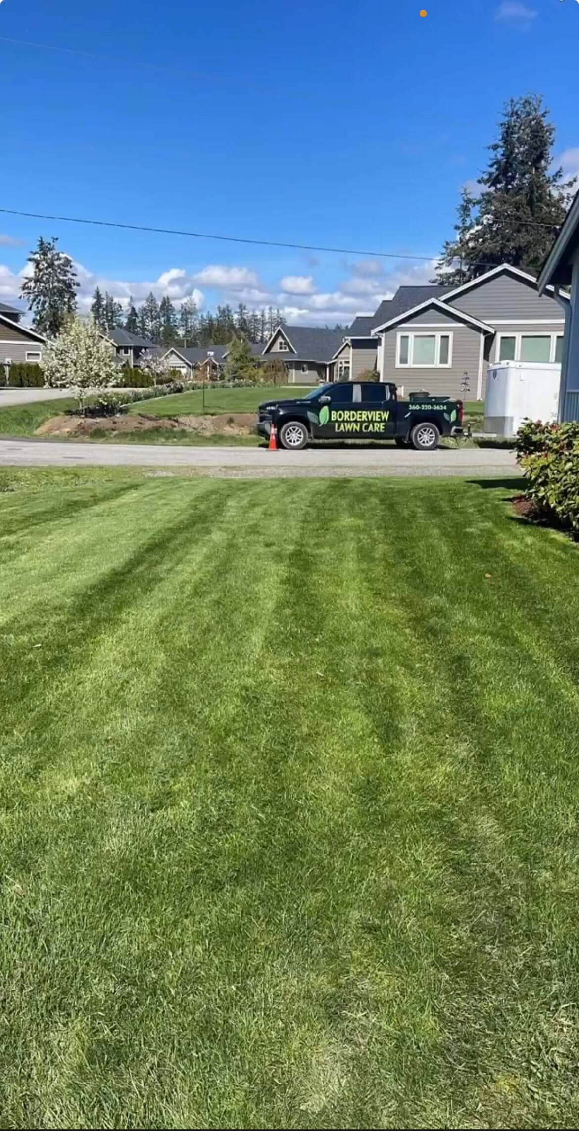 lawn care