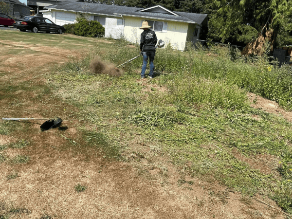 worker mowing the yard